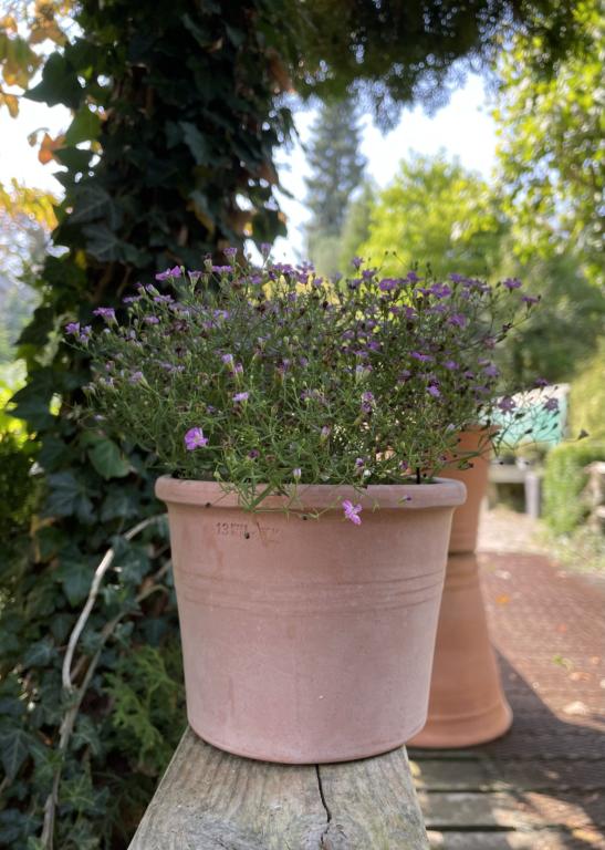 LERPOTTE TERRA CILINDRO