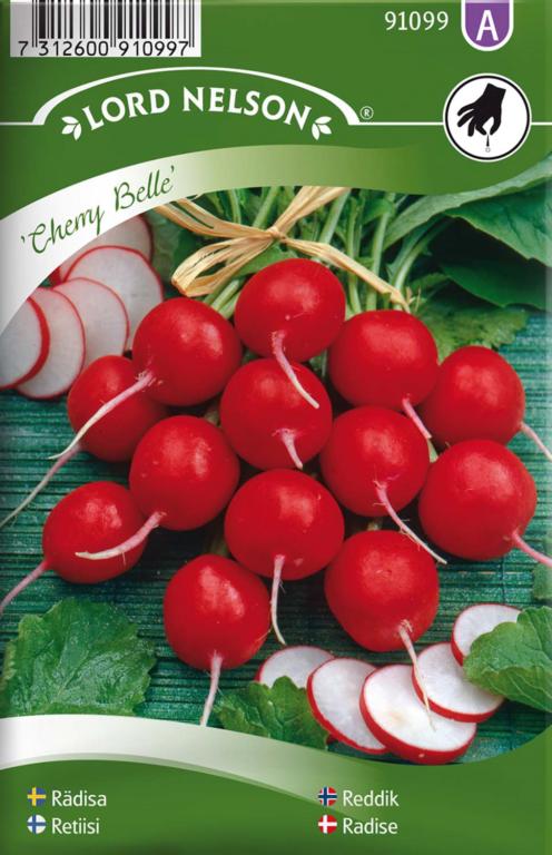 Radise, Cherry Belle