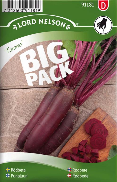 Rødbede, Forono, aflang, Big Pack