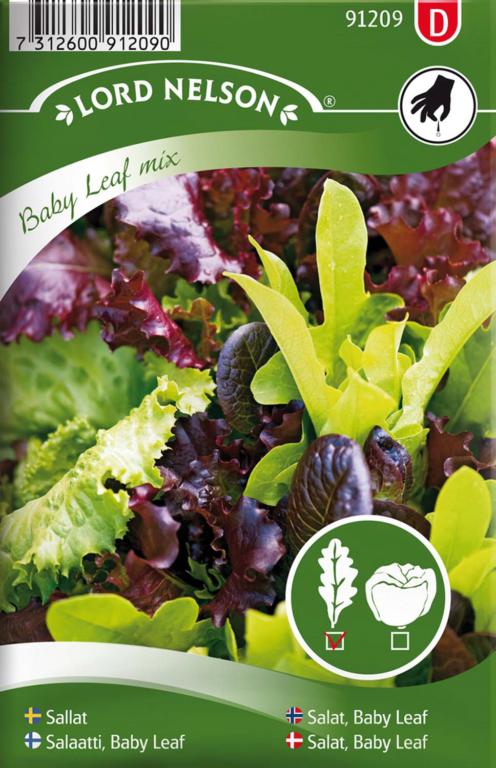 Salat, Baby Leaf, Mix