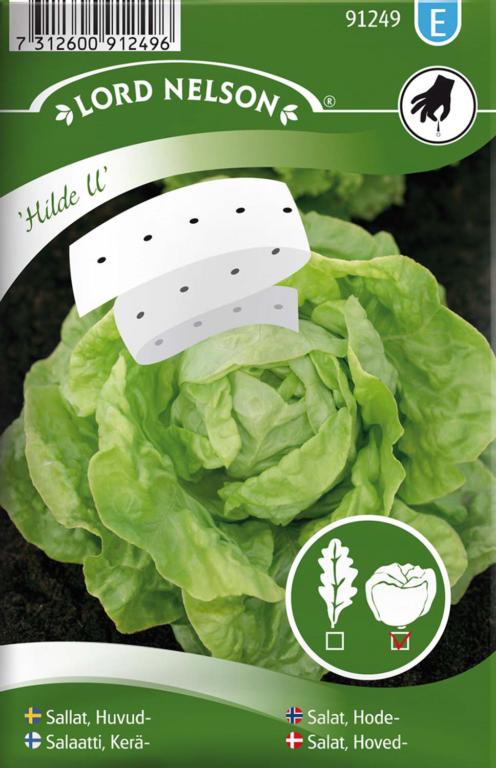 Salat, Hoved-, Hilde II, Såbånd