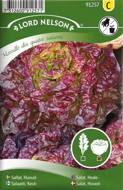 Salat, Hoved-,Merveille des quatre saiso