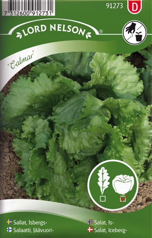 Salat, Iceberg-, Calmar