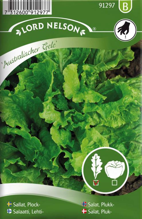 Salat, Pluk-, Australischer Gele