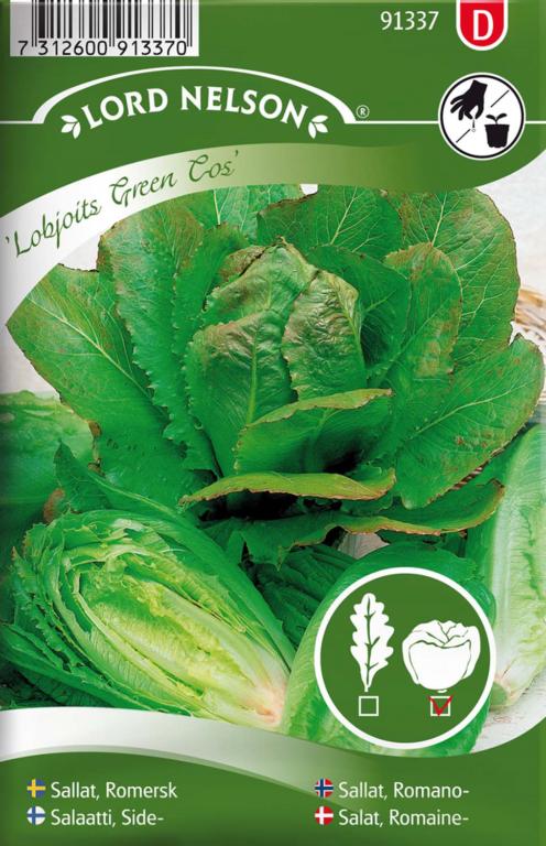 Salat, Romaine-, Lobjoits Green Cos