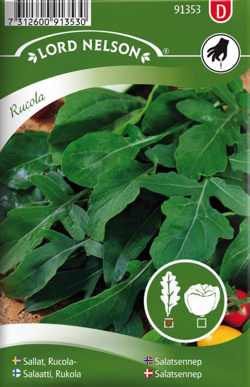 Salatsennep, Rucola
