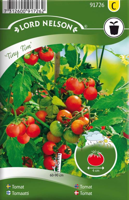 Tomat, Kirsebær-, Tiny Tim