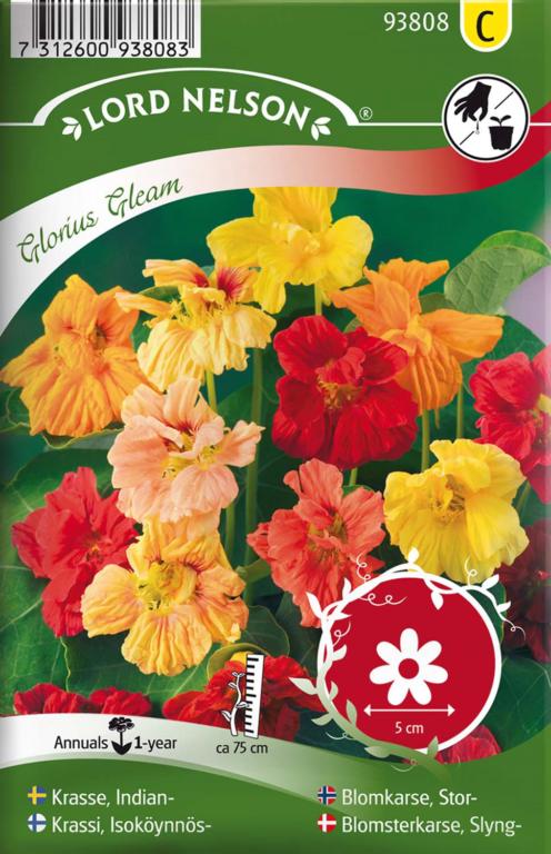 Blomsterkarse, Slyng-, Glorius Gleam