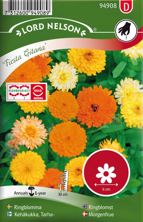 Morgenfrue, Have, Fiesta Gitana, lav