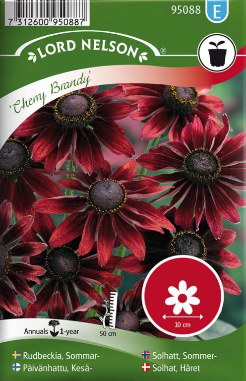 Solhat, Håret, Cherry Brandy