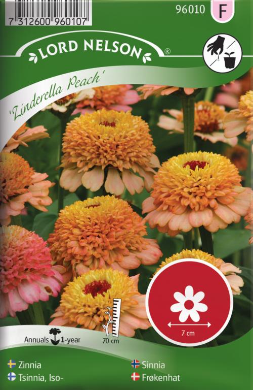 Frøkenhat, Zinderella Peach