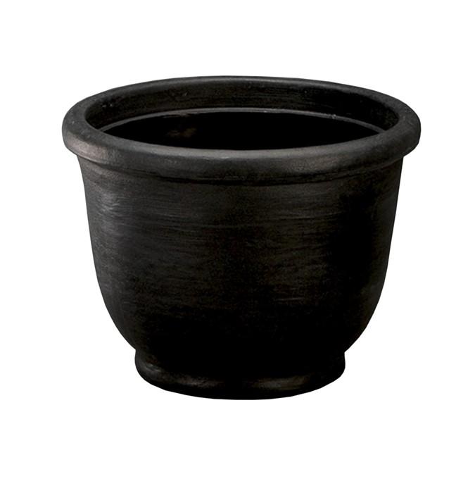 AGAVE 53 CAVIAR BLACK