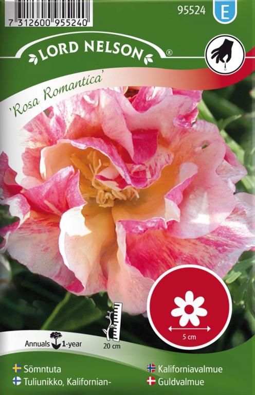 Guldvalmue, Californisk, Rosa Romantica